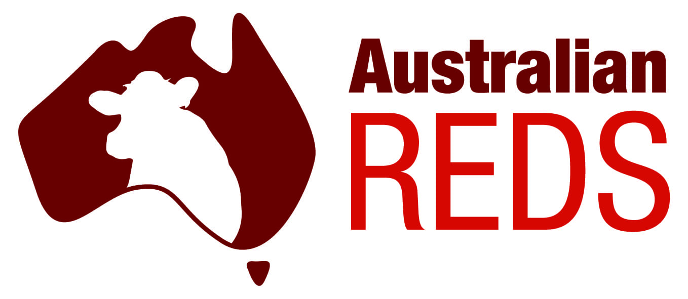 Australian Red Dairy Breed