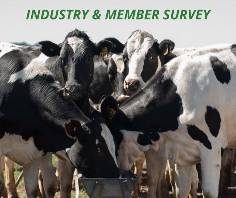 Help us support Australian Holstein breeders